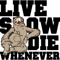 Sitting Live Slow Die Whenever Sloth Tee Shirt