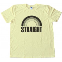 Straight Grey Rainbow - Not Gay - Tee Shirt