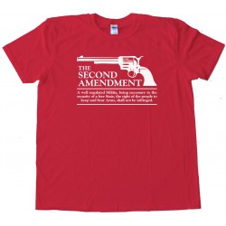The Second Amendment Gun Rights - Tee Shirt