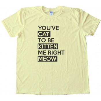 Youve Cat To Be Kitten Me Right Meow - Tee Shirt