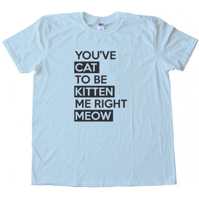 Youve Cat To Be Kitten Me Right Meow - Tee Shirt