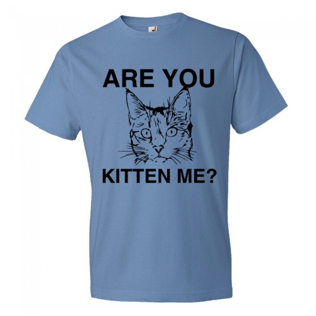 Are You Kitten Me? Cat Person - Tee Shirt