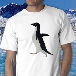 Awkward Penguin Tee Shirt
