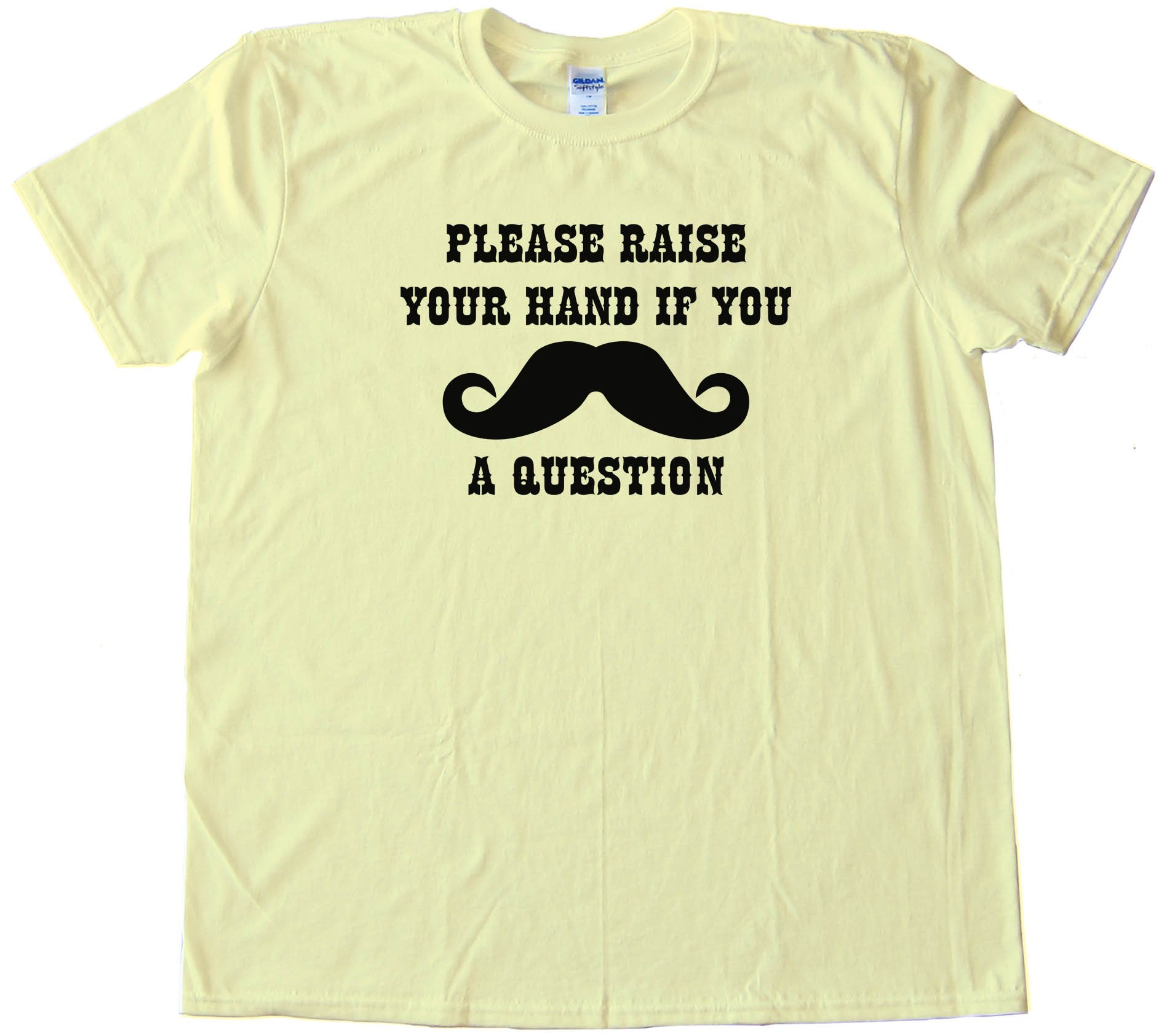 Please Raise Your Hand If You Mustache A Question Tee Shirt