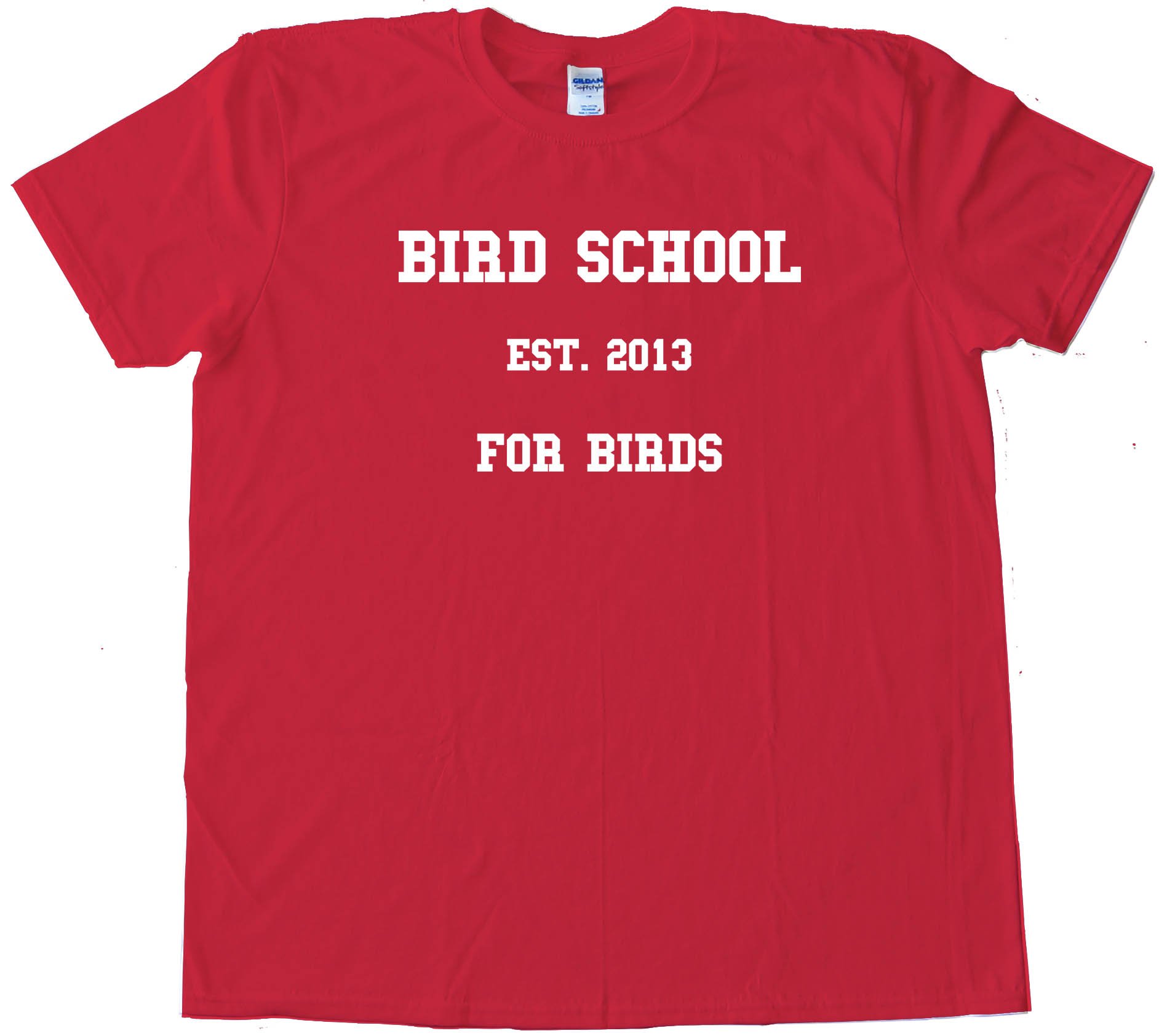 Bird School For Birds Tee Shirt