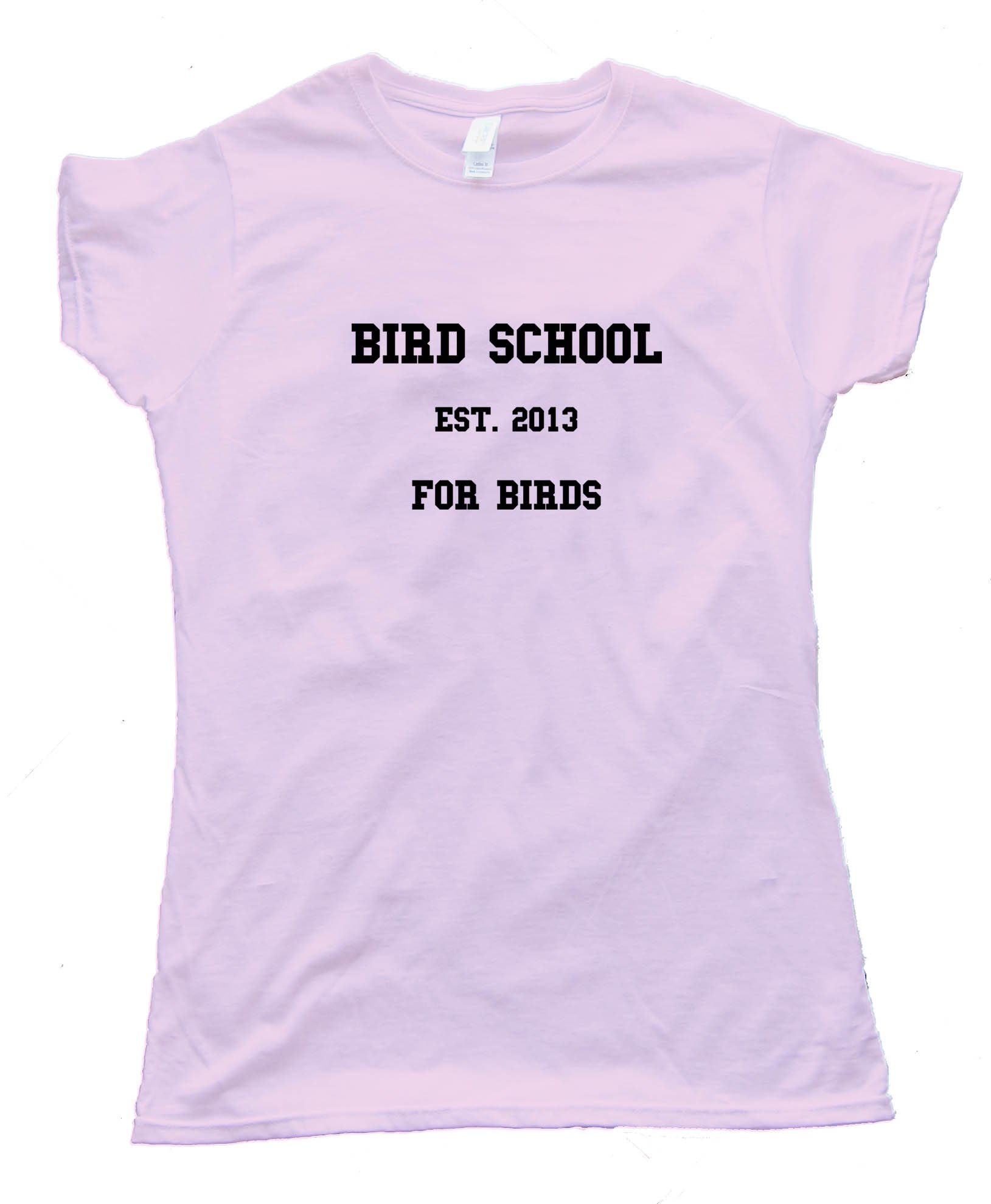 Womens Bird School For Birds Tee Shirt